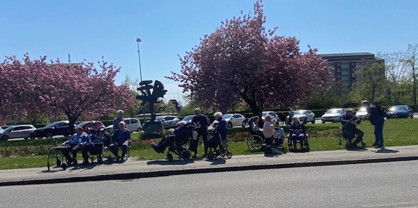 Billedet er fra en dejlig torsdags-gå-tur med NYS'erne